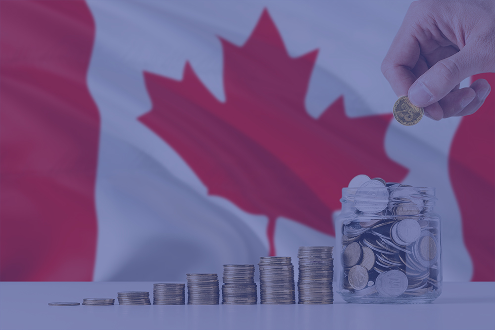 Grants Office Canada: The 2024 Federal Budget: A discussion about available funding for public and private sector organizations